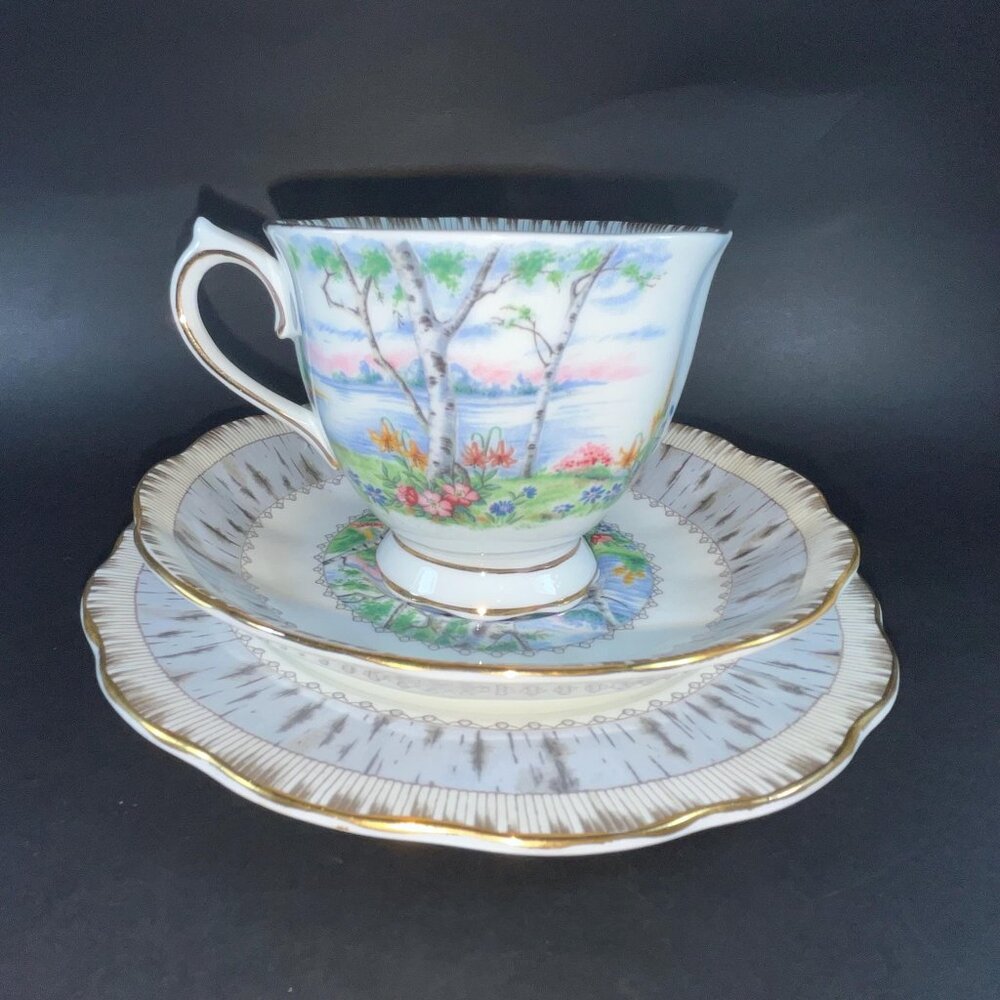 Royal Albert "Silver Birch" Vintage Teacup Trio Cup Saucer And Dessert Plate